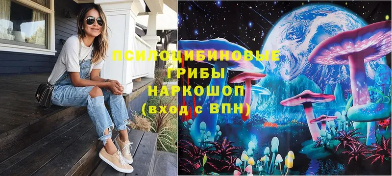 Псилоцибиновые грибы Magic Shrooms Камешково